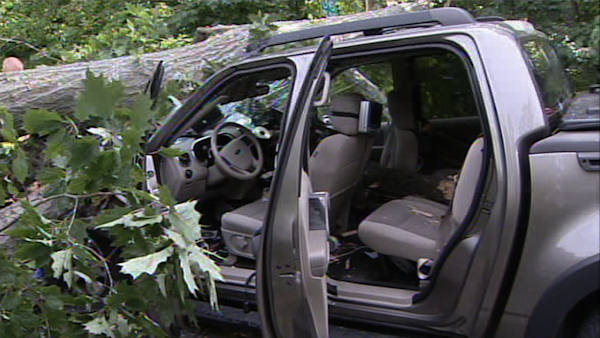 Tree falls on SUV